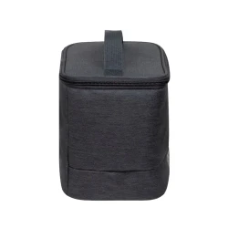 Geanta frigorifica RESTO 5503, 6L, Grey flexmag.md