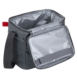 Geanta frigorifica RESTO 5506, 5,5L, Gri flexmag.md