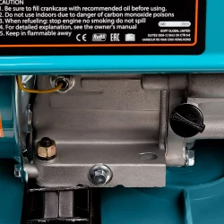 Generator electric pe benzina Bort BBG2500 flexmag.md