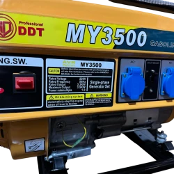 Генератор бензиновый DDT MY3500 flexmag.md