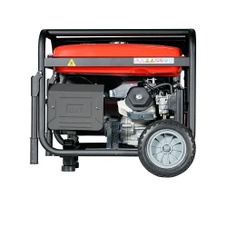 Generator electric pe benzina Fubag BS5500 flexmag.md