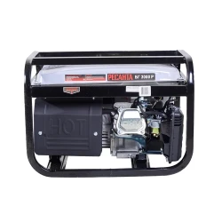 Generator electric pe benzina Resanta БГ3000 P flexmag.md
