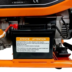 Generator electric pe benzina Ruris R-Power GE8000 flexmag.md