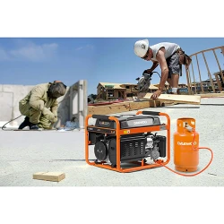 Генератор на бензине и газе Daewoo GDA 3500DFE flexmag.md