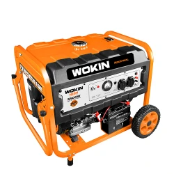 Generator electric pe benzina Wokin 791255 flexmag.md