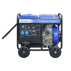 Генератор на дизельном топливе для сварки TSS PRO DGW 3.0-250E-R flexmag.md