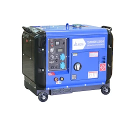 Генератор на дизельном топливе TSS PRO DGW3.0-250ES-R flexmag.md
