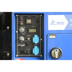 Генератор на дизельном топливе TSS PRO DGW3.0-250ES-R flexmag.md