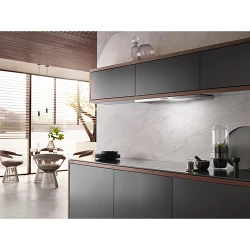 Hota incorporabila Miele DAS 2920 flexmag.md