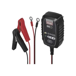 Зарядное устройство автомобильного аккумулятора Emos N1015 flexmag.md
