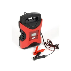 Incarcator acumulator auto inteligent Einhell CC-BC 10 M flexmag.md