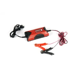 Incarcator acumulator auto inteligent Einhell CC-BC 2 M flexmag.md