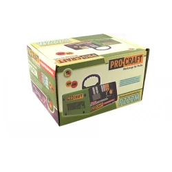 Incarcator acumulator auto Procraft PZ22M flexmag.md