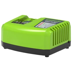 Зарядное устроиство Greenworks G40UC4 flexmag.md