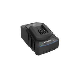 Incarcator Hyundai C20-2 flexmag.md
