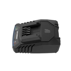 Incarcator Hyundai C20-2 flexmag.md