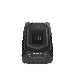 Incarcator Hyundai C20-2 flexmag.md