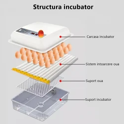 Incubator pentru oua Demetra DM-64 flexmag.md