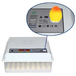 Incubator pentru oua Demetra DM-64 flexmag.md