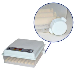 Incubator pentru oua Demetra DM-64 flexmag.md