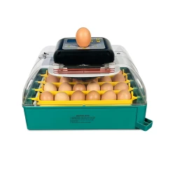 Incubator pentru oua Demetra EU PROFI C-24 flexmag.md