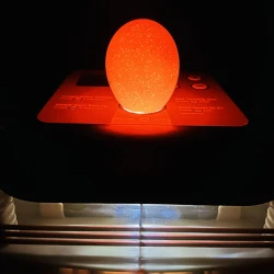 Incubator pentru oua Demetra EU PROFI C-24 flexmag.md