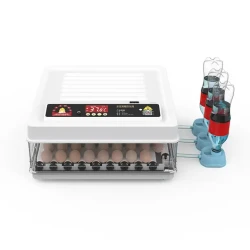 Incubator pentru oua Demetra MD-70 flexmag.md