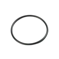 Уплотнительное кольцо Intex 10262 flexmag.md
