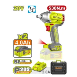 Masina de insurubat cu impact pe acumulator Dyllu DTCD1B53 (2 acumulatori) flexmag.md