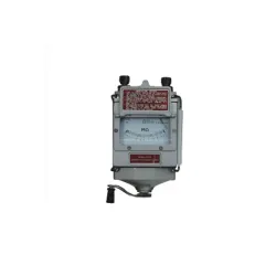Megohmetru Kasan ZC11D-101010T flexmag.md