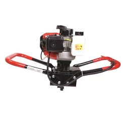 Motoburghiu pe benzina Raider RD-EA01 flexmag.md