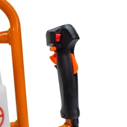 Motoburghiu pe benzina Ruris TT10 flexmag.md