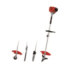 Мотокоса бензиновая многофункциональныая Einhell GC-MM 52 I AS flexmag.md