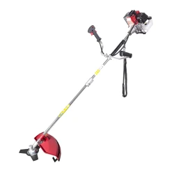 Motocoasa pe benzina Raider RD-GBC24 flexmag.md