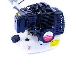 Motocoasa pe benzina Worker MT 53 flexmag.md