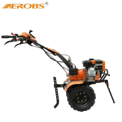 Motocultor pe benzina Aerobs BSG1050F flexmag.md
