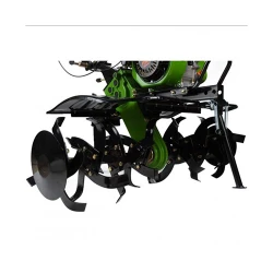 Motocultor pe benzina Procraft PT900 + freze flexmag.md