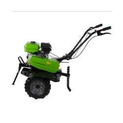 Motocultor pe benzina Procraft PT900 + freze flexmag.md
