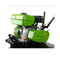 Motocultor pe benzina Procraft PT900 + freze flexmag.md