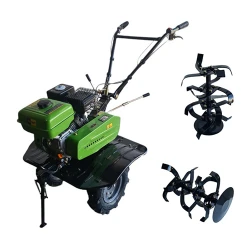 Motocultor pe benzina Procraft PT900 + freze flexmag.md