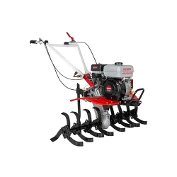 Motocultor pe benzina Resanta MB-7000-10 flexmag.md