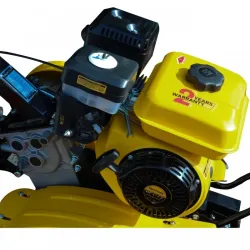 Мотокультиватор на бензине Rotor RPT-75 flexmag.md