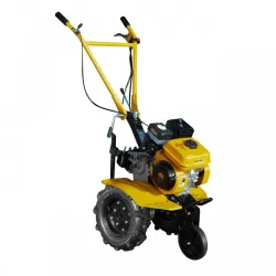 Мотокультиватор на бензине Rotor RPT-75 flexmag.md