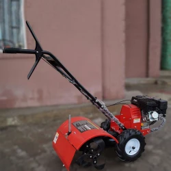 Motocultor pe benzina Taurus 750 + freza flexmag.md