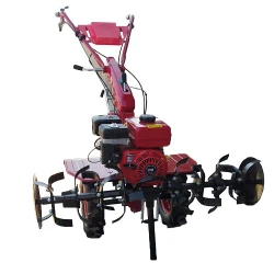 Motocultor pe benzina Taurus GT1000A + freza flexmag.md