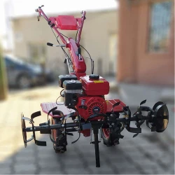 Motocultor pe benzina Taurus GT1000A + freza flexmag.md