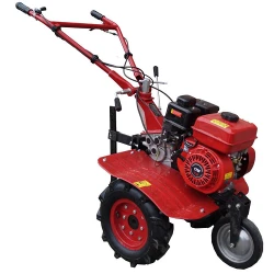 Motocultor pe benzina Taurus GT500A + freza flexmag.md