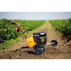 Motocultor pe benzina Villager VTB 842 Prime + freza flexmag.md