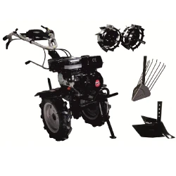 Motocultor pe benzina Worker HB 704.3.1 RS ECO + Freze flexmag.md
