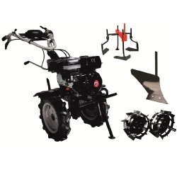 Motocultor pe benzina Worker HB 705.3.3 RS ECO + Freze flexmag.md